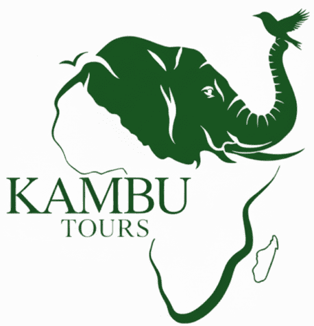 Kambu Tours