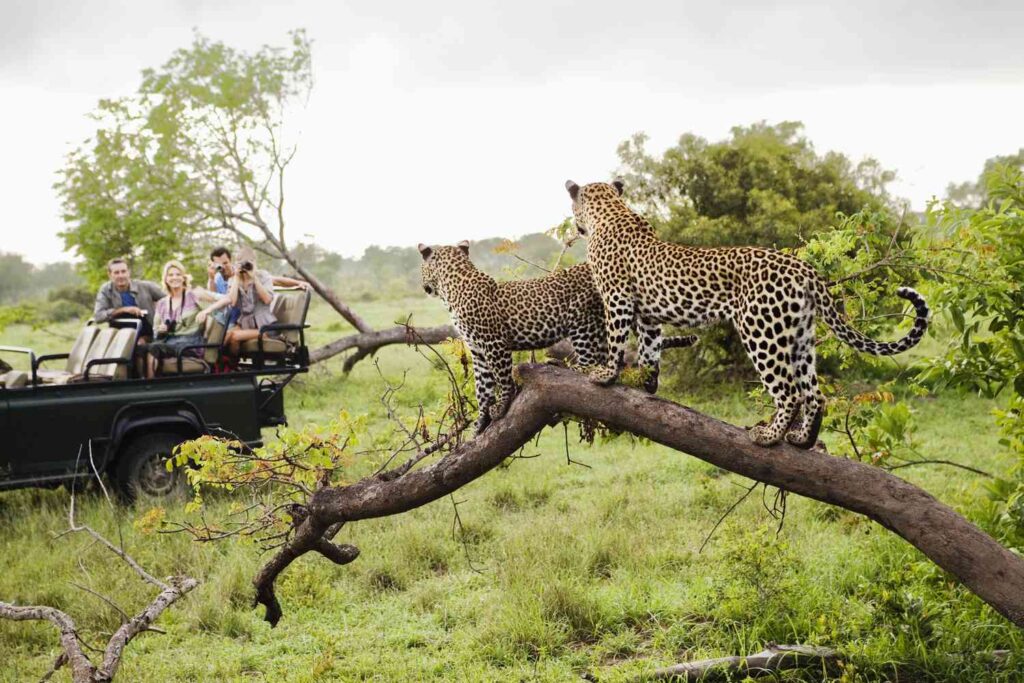 Major National Parks in Southern Africa 2 National Parks in Southern Africa- Kruger NP