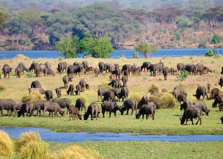 Major National Parks in Southern Africa 4 Mana Pools
