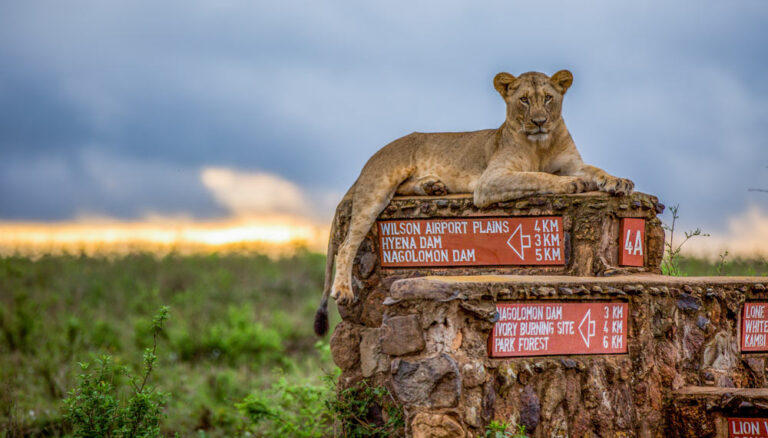 National Parks in Kenya and Game Reserves