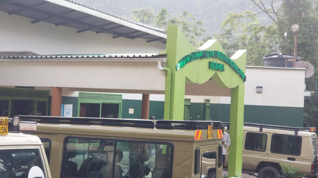 Bwindi Impenetrable National Park 