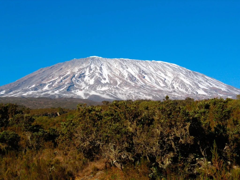 National Parks in Tanzania and Game Reserves 5 Mt Kilimanjaro