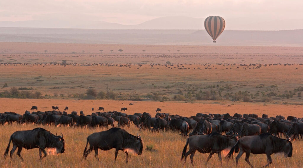 National Parks in Tanzania and Game Reserves 2 Serengeti NP